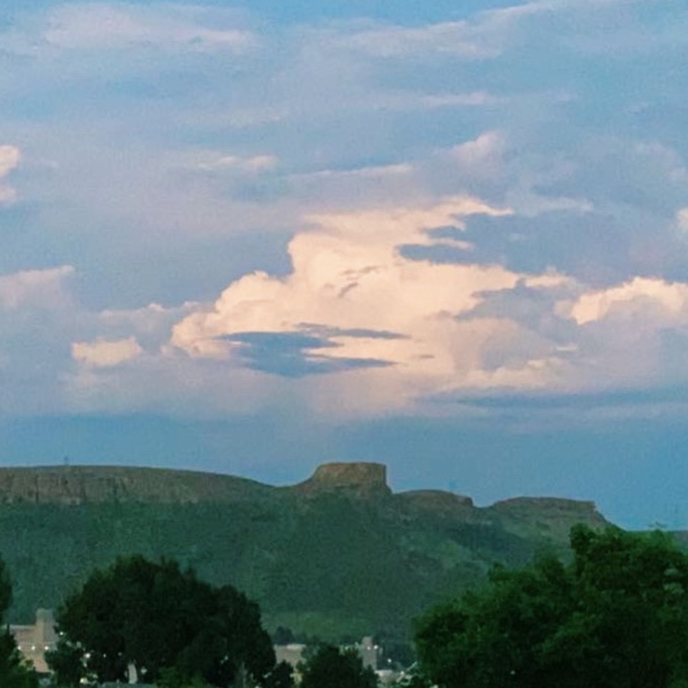 Meet your Posher, Mia